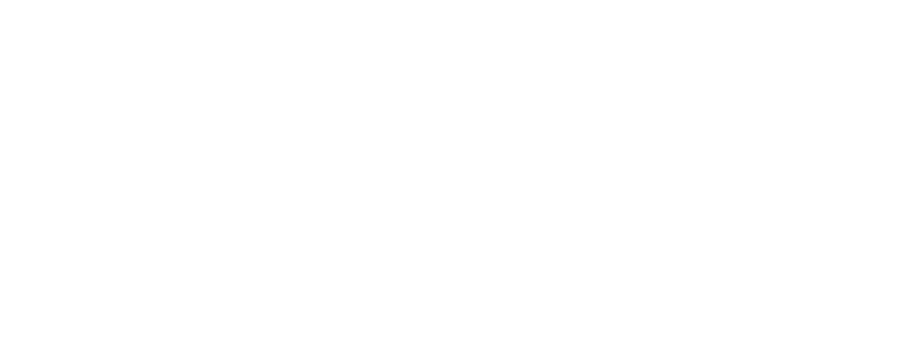 THE HUNDRED HOUSE