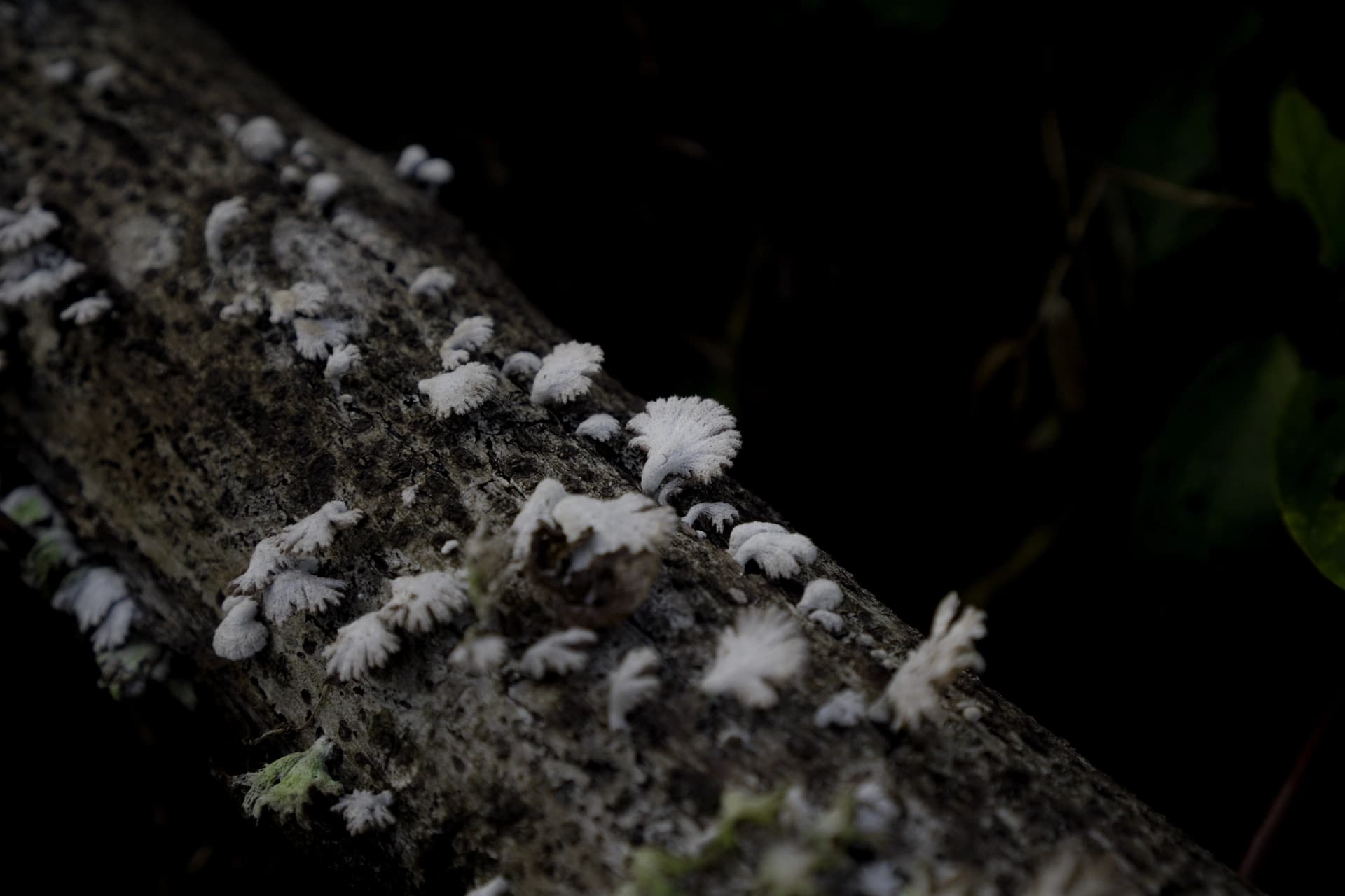 Why Kerala Has Not Yet Reached Its Full Tourism Potential